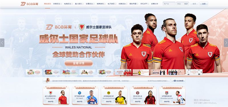 B平博体育 - 德甲多特蒙德官方合作伙伴 2 B平博体育简介